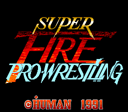 Super Fire Pro Wrestling 1